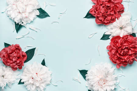 Pastel peonies frame on blue background. Beauty floral background. Festive flowers conceptの写真素材