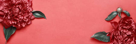 Surreal peonies on red banner. Beauty floral background. Festive flowers conceptの写真素材