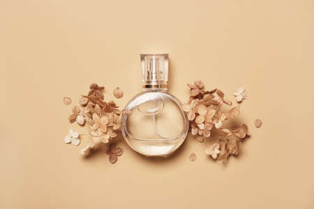 Round Perfume bottle mockup and dry hydrangea flowers on beige background. Natural earthy colors, copy spaceの写真素材