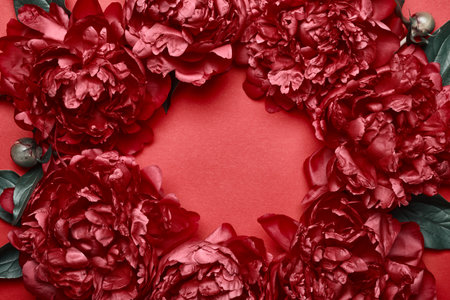 Surreal red peonies frame on red background. Beauty floral background. Festive flowers conceptの写真素材