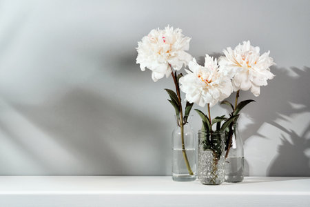 Elegant white peonies flowers arrangement on table wall background. Template for text or artwork, trendy shadowsの写真素材