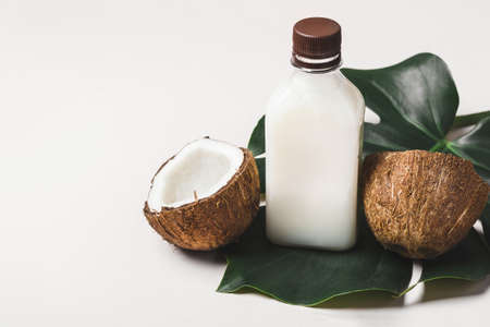 Coconut Oil or Cream, tropical leaves and coconut. Natural beauty spa product conceptの写真素材