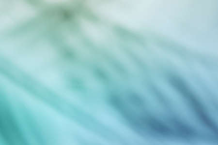 Natural palm leaves shadow on gradient paper background. Abstract blue and mint tropical backdrop....