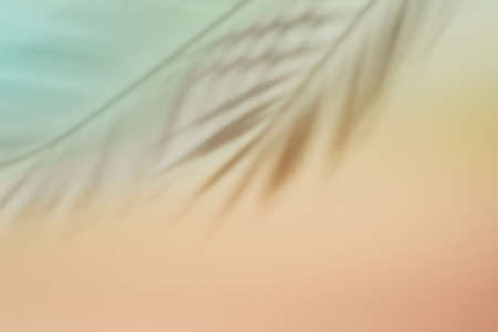 Natural palm leaves shadow on gradient paper background. Abstract pink and mint tropical backdrop. Soft lightの写真素材