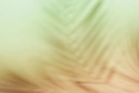 Natural palm leaves shadow on gradient paper background. Abstract peach and green tropical backdrop. Soft lightの写真素材