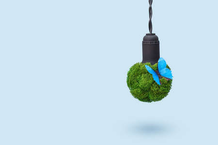Green energy concept. Light bulb made from green plants with blue butterfly as symbol of pure nature without polluting wasteの写真素材