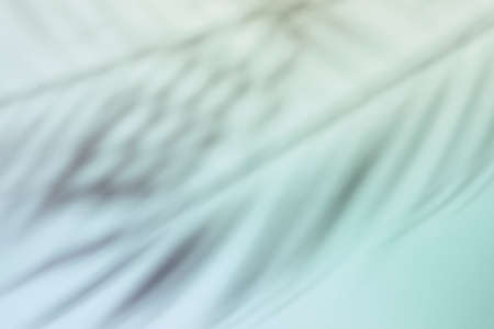 Natural palm leaves shadow on gradient paper background. Abstract blue and mint tropical backdrop. Soft lightの写真素材