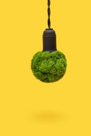 Green energy concept. Light bulb made from green plants. Symbol of pure nature without polluting wasteの写真素材
