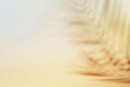 Natural palm leaves shadow on gradient paper background. Abstract neutral nature tropical backdrop. Soft lightの写真素材