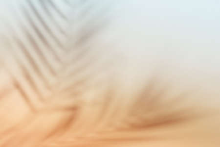 Natural palm leaves shadow on gradient paper background. Abstract peach and blue tropical backdrop....