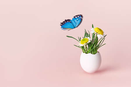 Life Easter concept. Green sprouts and spring flowers in white egg on pink background, copy spaceの写真素材