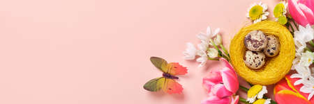 Spring flowers, quail eggs in nest and butterflies on pink background. Easter greeting bannerの写真素材