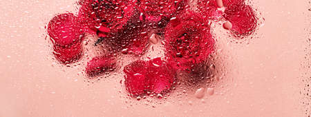 Flowers under glass with water drops. Red roses on pink banner and blobs pattern