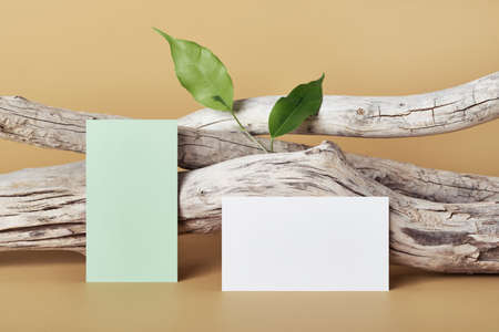 White and green paper business card mockup. Natural driftwood and green leaves on beige background