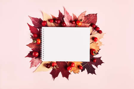 Notebook with frame of autumn colorful leaves and berries on pink background. Hello Autumn creative...