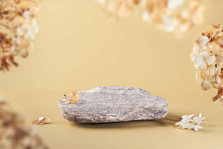 Rounded stone and dried flowers. Background for presentation of eco friendly and zero waste products in earth colorsの写真素材