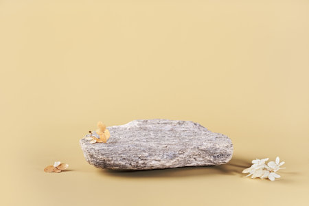 Rounded stone and dried flowers. Background for presentation of eco friendly and zero waste products...