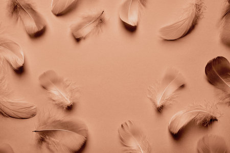 Abstract background with soft feathers in mocha mousse colorの写真素材