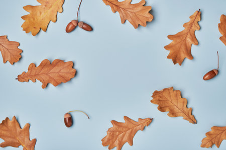 Autumn oak leaves and acorns laid out on blue background, copy space