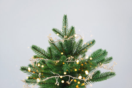 Festive christmas tree with twinkling lights against white background Close-upの写真素材