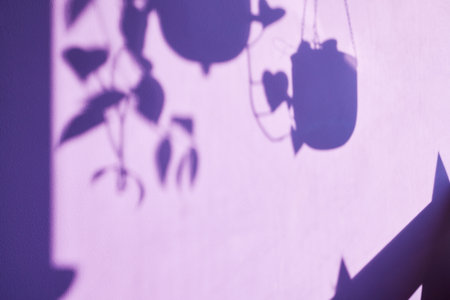 Shadows of hanging plants and light creating an abstract pattern on lavender wallの写真素材