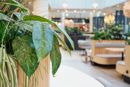 Green foliage enhancing contemporary design of blurred cafe or food court spaceの写真素材