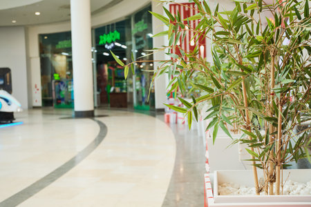 Novosibirsk, Russia - December 01, 2025. Bamboo plants in planters lining modern shopping mall pedestrian walkway with blurred retail storesのeditorial素材