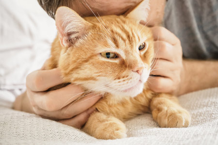 Man tenderly petting and bonding with an orange tabby cat indoors