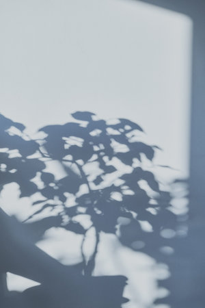 Plant casting natural shadow texture on light wall, creating an abstract background