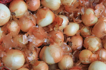 Onionsの写真素材