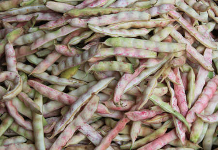 Beans