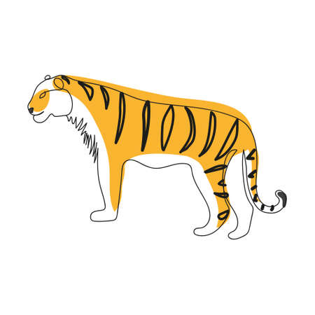 Tiger continuous one line art drawing. Vector color illustration on white background.のイラスト素材