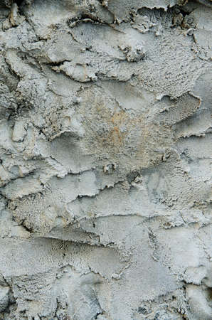 cement wall texture