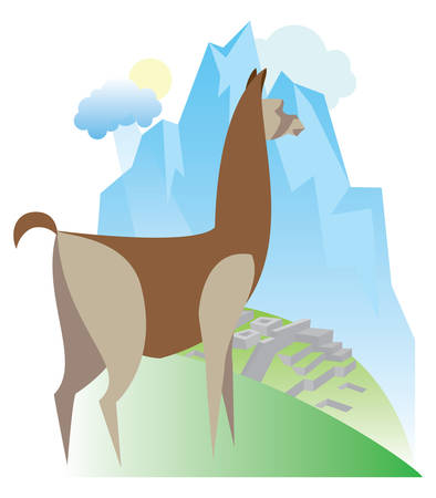 South American mammal is llamaのイラスト素材