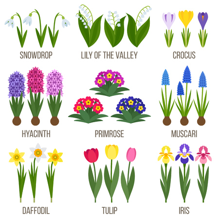 Big vector collection of spring flowers. Flat style.のイラスト素材