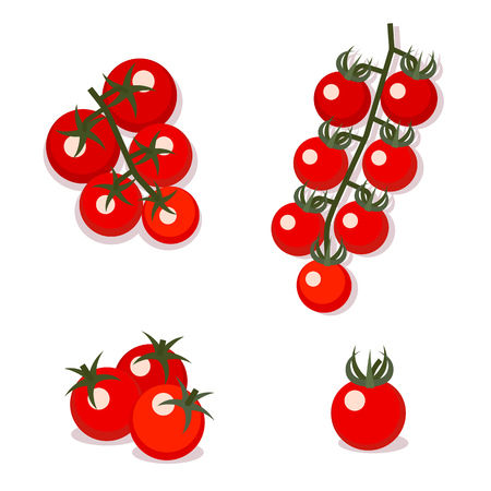 Vector illustration of cherry tomatoes.のイラスト素材