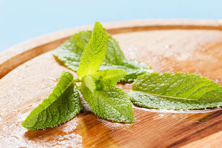 Fresh green mint leaves and ice pieces on a wooden cutting board
