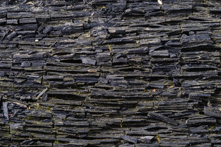 Shabby brown wood background texture.