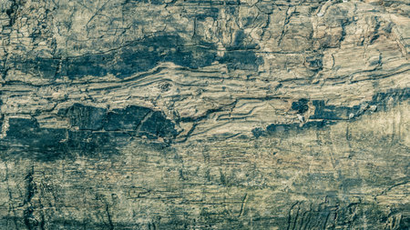 Wood background texture. Slivers of wood. Close-up.の写真素材