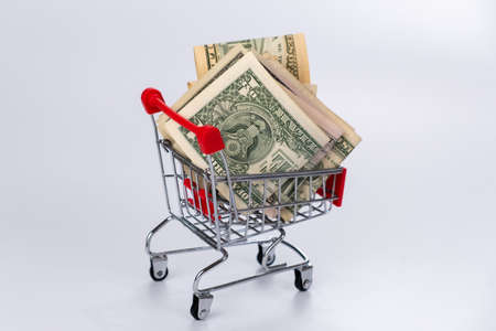 Concept money in an online market shopping trolley, online business.