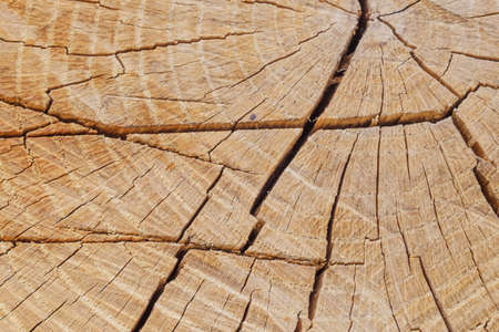 Wooden rough timber old aged material plank. board material