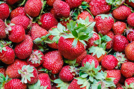 Strawberry healthy berry fruit ripe fresh red. nature background.