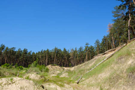 Hill wood wilderness natural green. blue outdoorsの写真素材