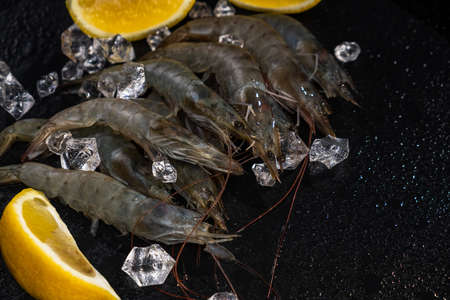 Shrimp seafood sea prawn meal. shellfish deliciousの写真素材