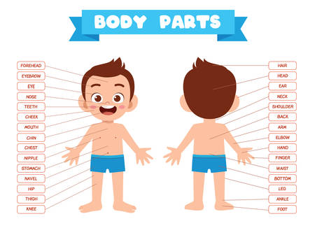 Vector of happy cute kid boy body part - ID:1-147576138 - Royalty Free ...