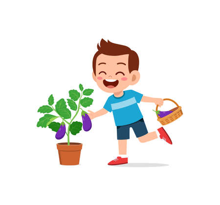 cute little boy harvest eggplant in the gardenのイラスト素材