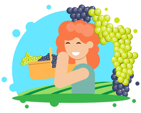 A girl is harvesting grapes in a basket. Vector illustrationのイラスト素材