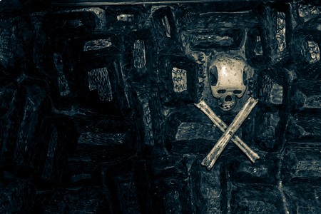 artificial skull and bones on a dark stone in the darknessの写真素材