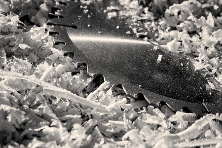 Wood chips, chips and circular saw blade