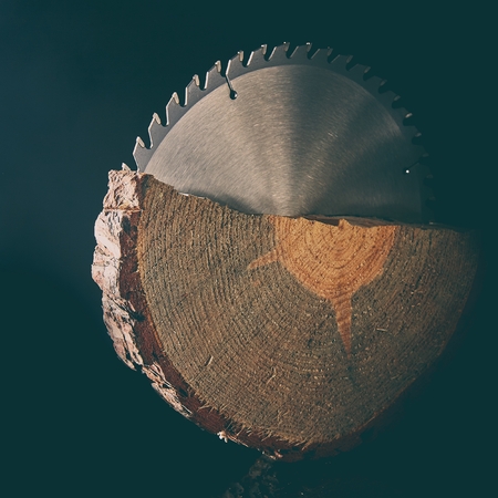 Mechanical circular saw, the best assistant when sawing wood in small and large quantitiesの写真素材